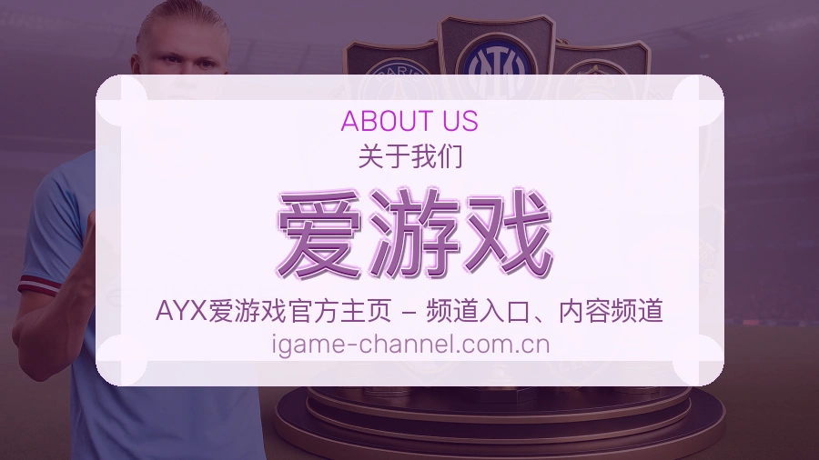 爱游戏服务范围介绍